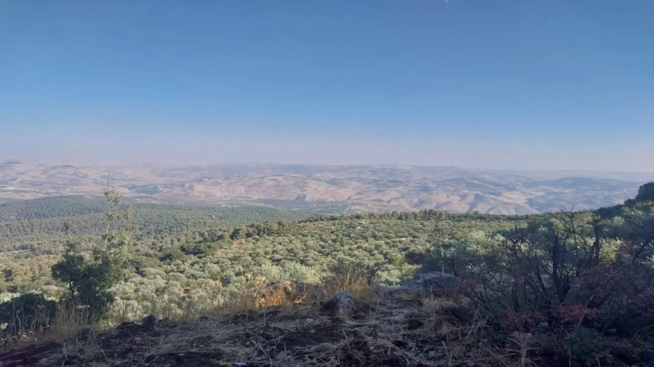 بدء تنفيذ أعمال مشروع مدينة جرش السياحي بكلفة 7 ملايين دينار