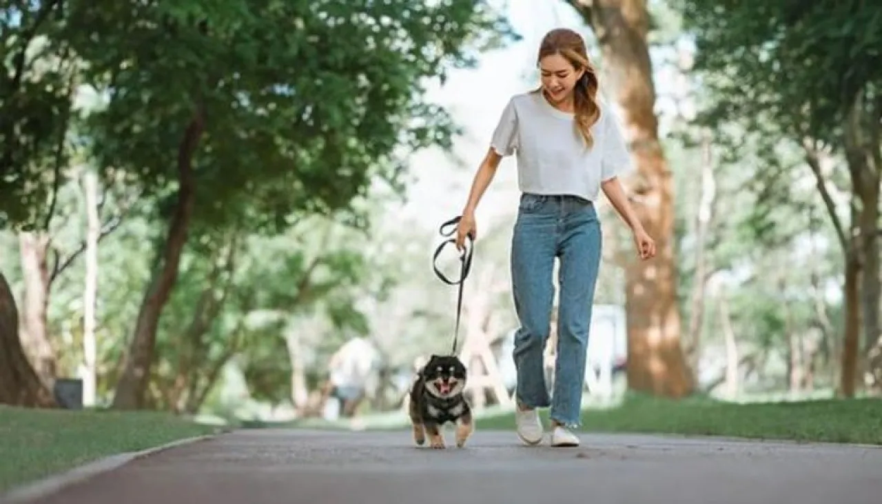 7 آلاف خطوة هل يكفي هذا الرقم لحمايتك من أمراض القلب