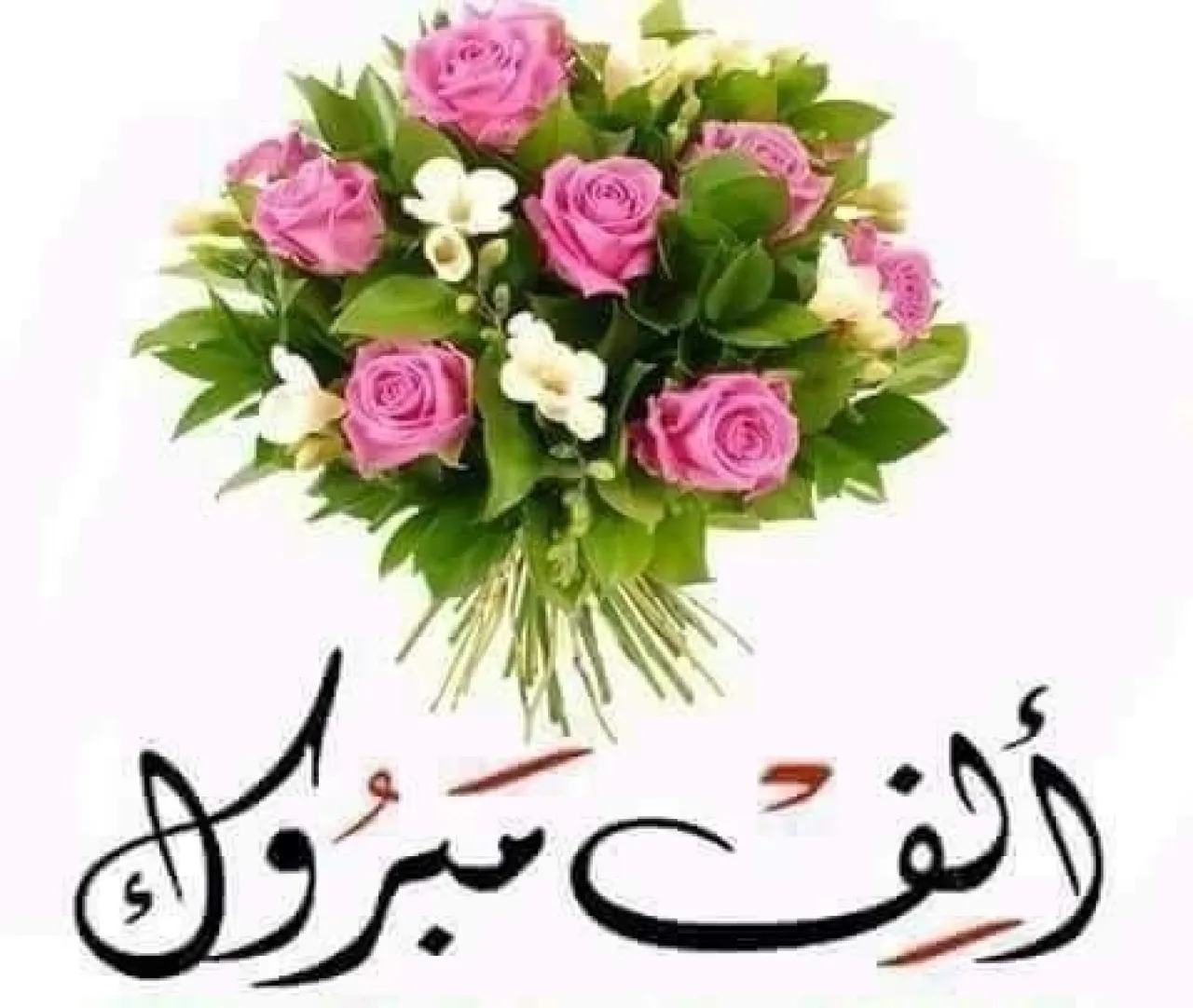 يتقدم سلامة شوكت الربيحات