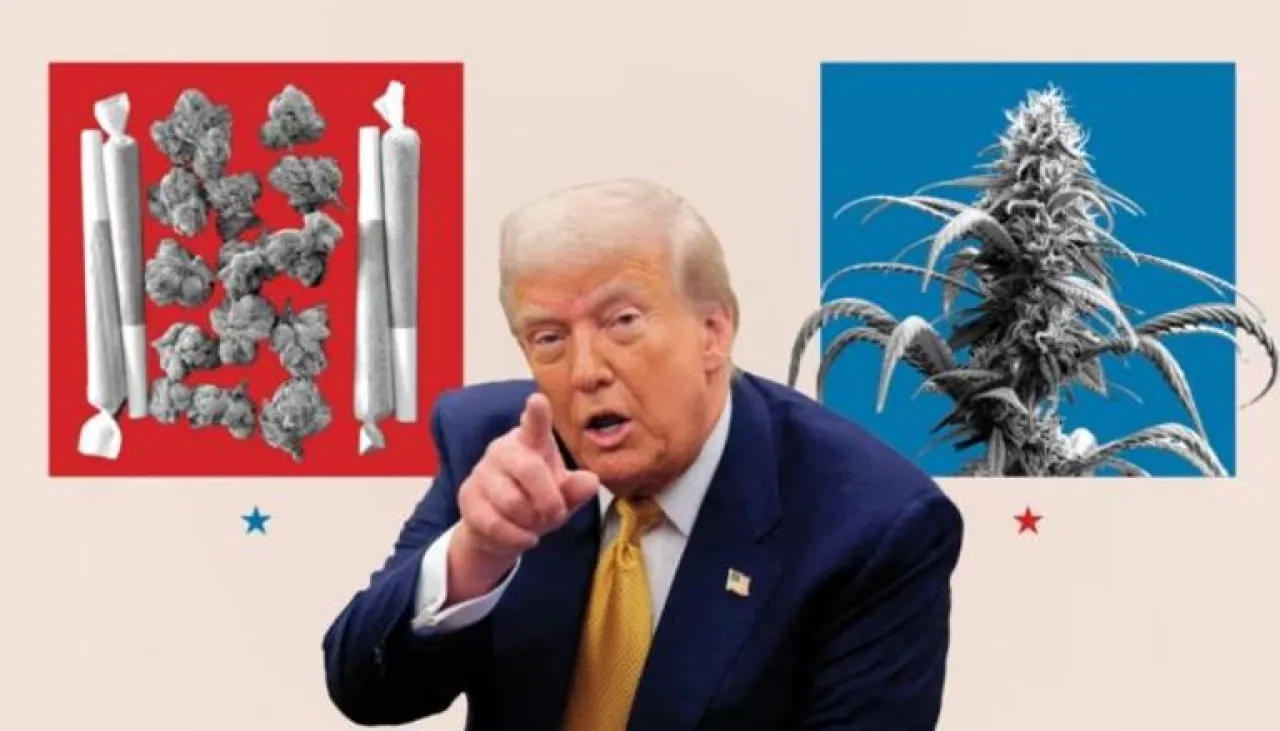 ترمب يدرس سرا خفض تصنيف الماريغوانا كمخدر خطير