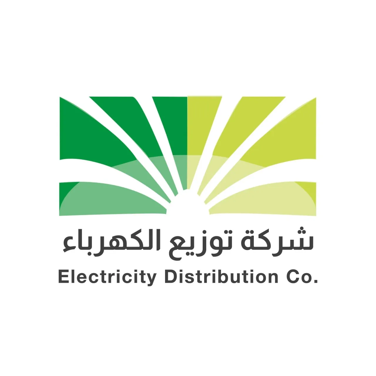 توزيع الكهرباء لن نقطع التيار بسبب الذمم المالية خلال الموجة الحارة