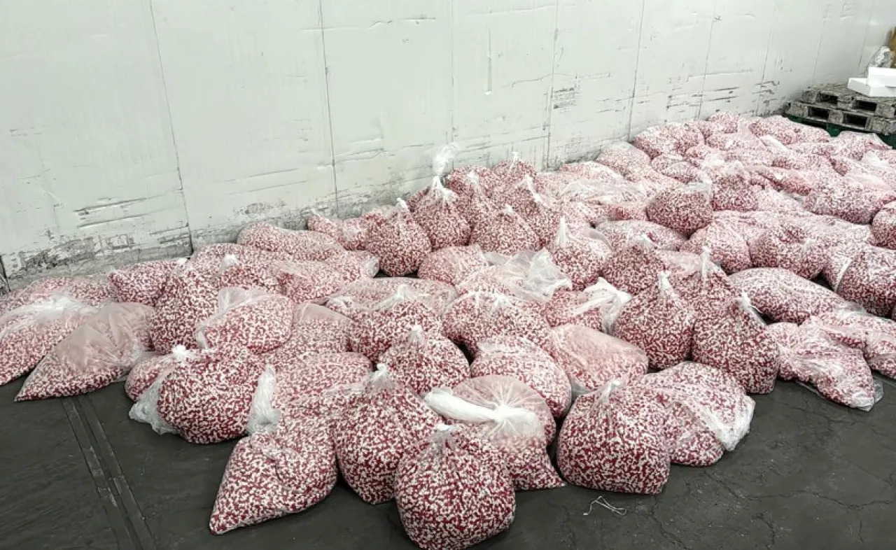 الكويت  ضبط 5 ملايين كبسولة لاريكا فارغة