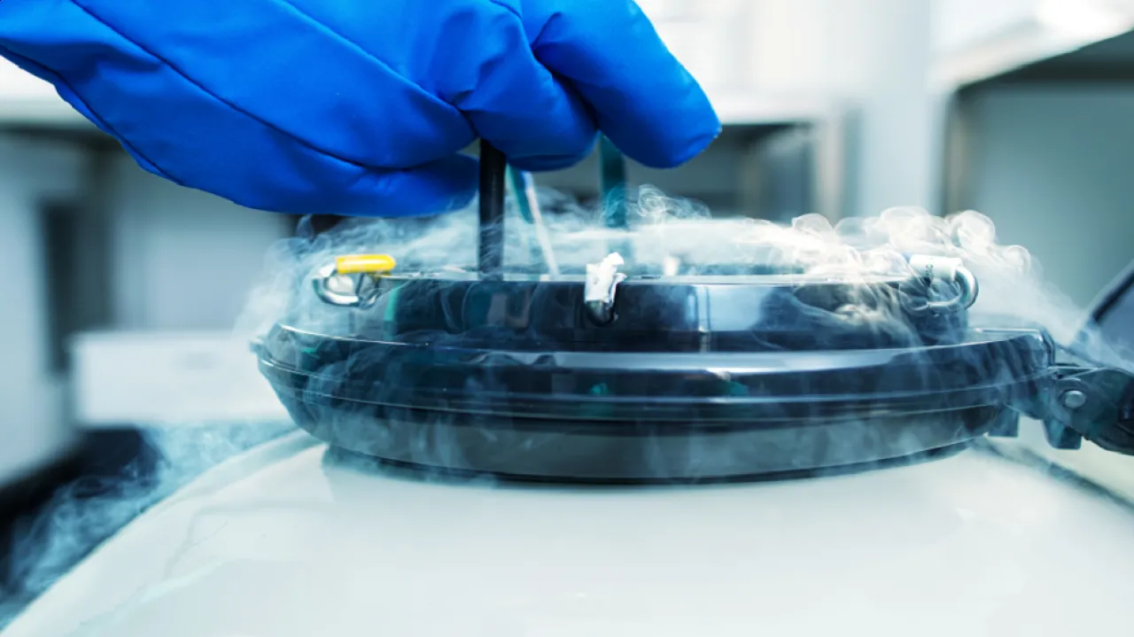 دراسة تحمل أخبارا واعدة للنساء اللواتي يؤجلن الإنجاب