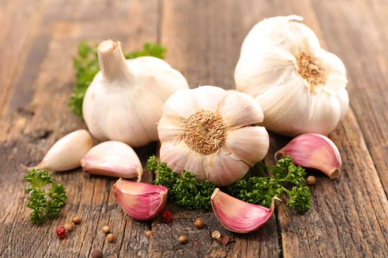 الثوم كنز طبيعي لصحة القلب والمناعة