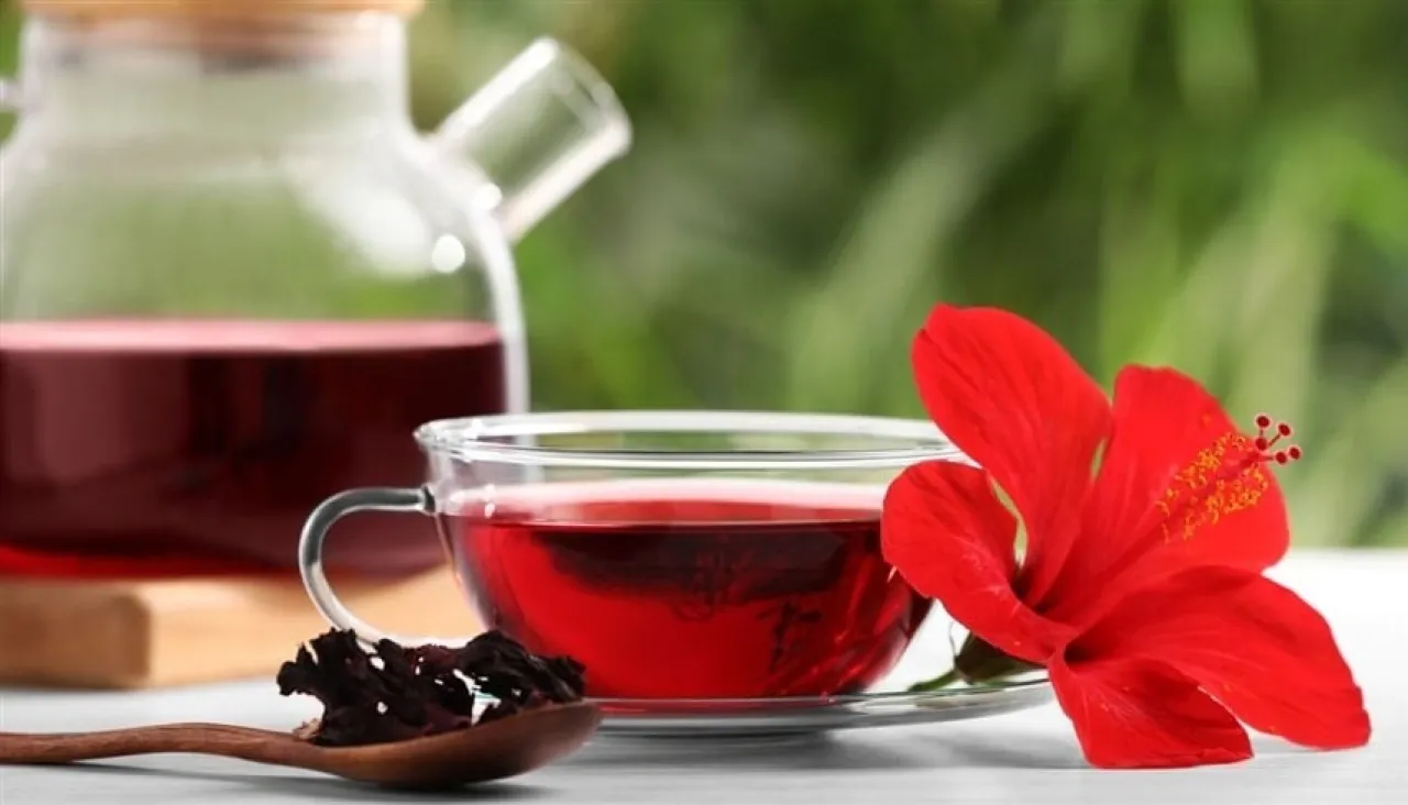 حقائق عن تأثير الكركديه في خفض ضغط الدم