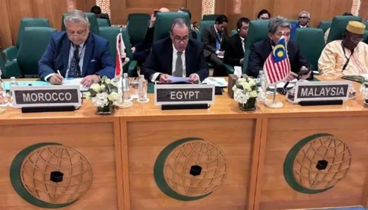 وزير الخارجية المصري  لن نسمح بتنفيذ مشروع إسرائيل الكبرى 