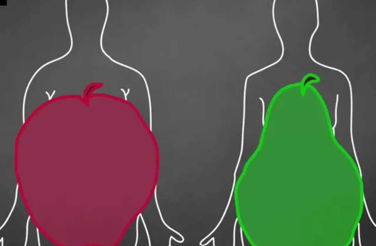 الجسم بشكل التفاحة أم الكمثرى أيهما يهدد صحة القلب