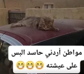 مواطن أردني لقط: انا احسدك على حياتك - فيديو