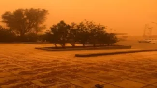 دعم نقدي للأسر  التي تضررت منازلهم بفعل الأحوال الجوية في الرويشد