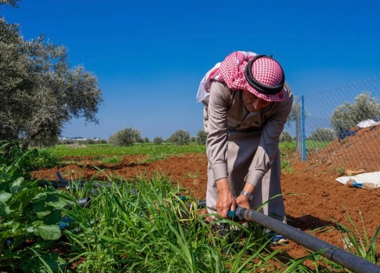 سؤال نيابي عن خطط الحكومة لدعم المزارعين