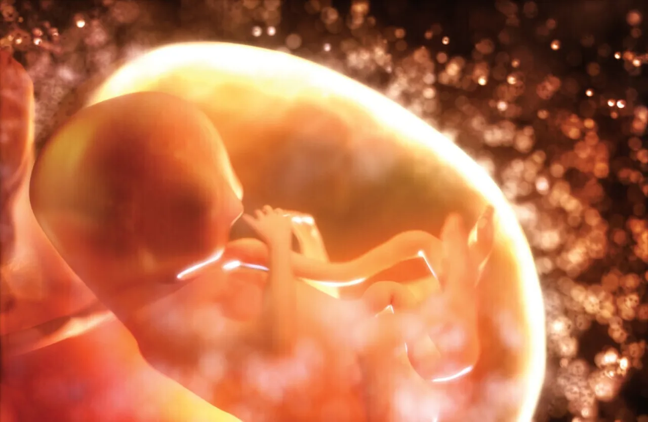 مفاجأة علمية ميكروبات الأمهات تبني أدمغة الأطفال داخل الرحم