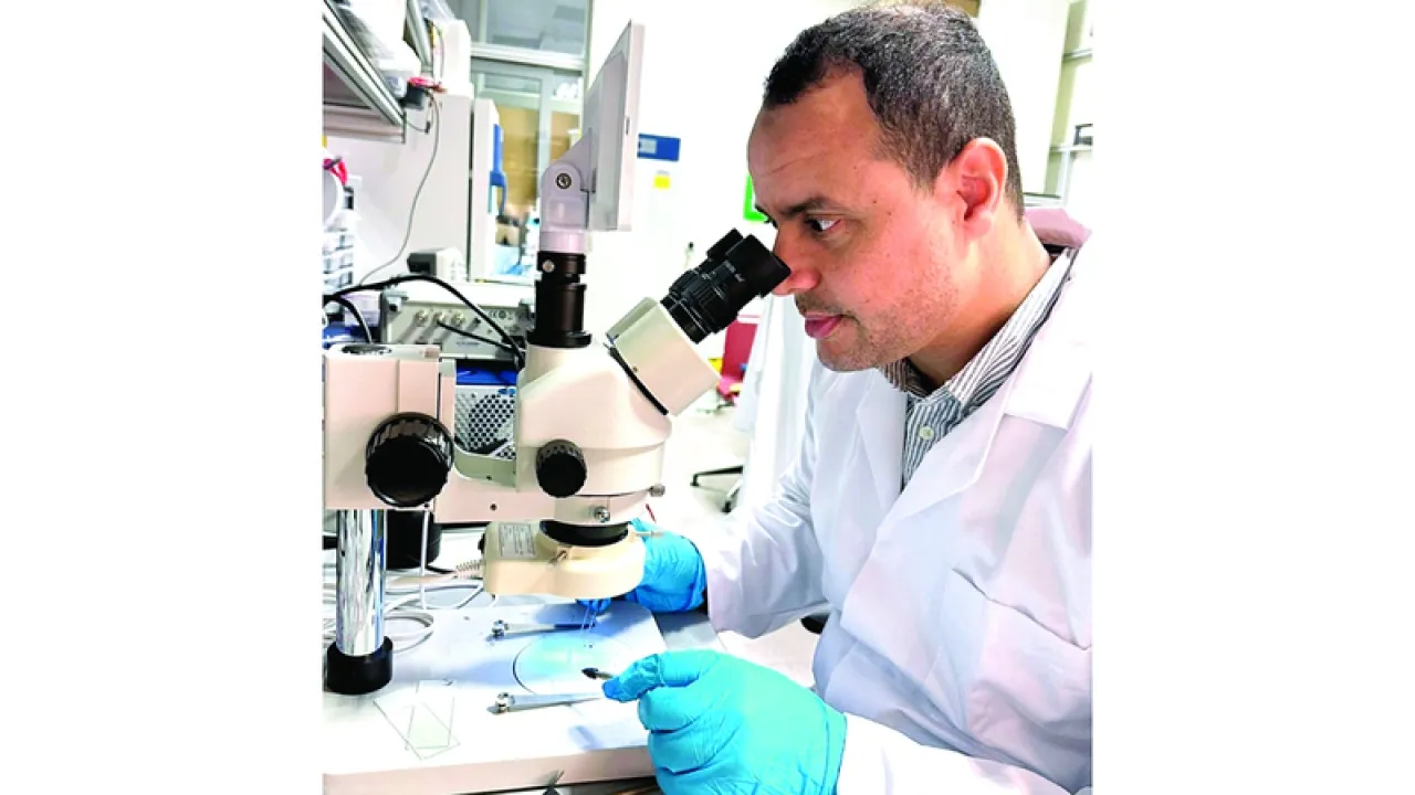 الأامارات  تطوير كبسولة لاسلكية تتحكم في أعصاب الأمعاء