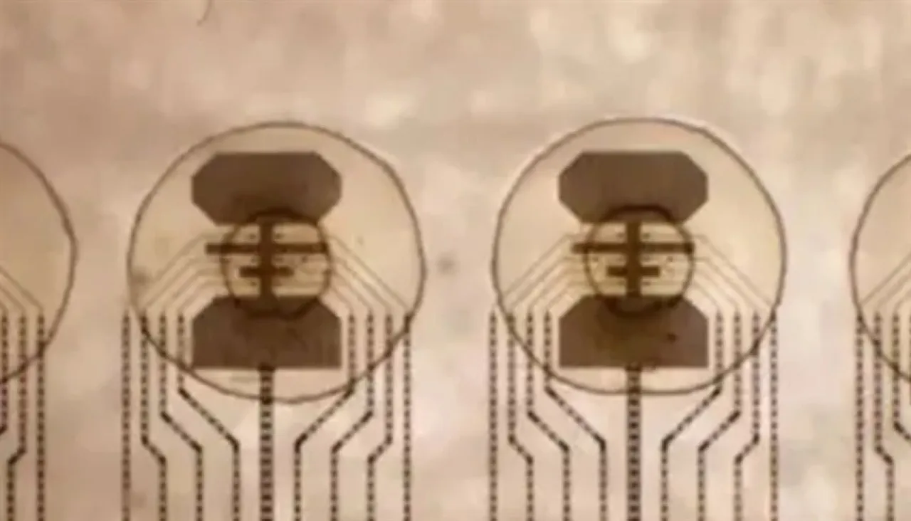 أول كمبيوتر حي علماء يحولون البكتيريا إلى معالجات رقمية