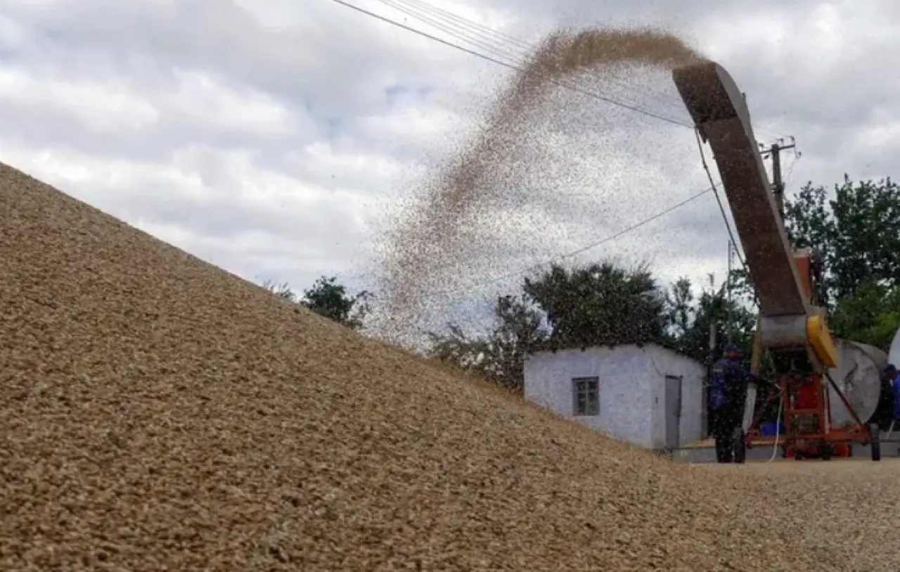 الأردن يشتري 60 ألف طن من علف الشعير في مناقصة دولية