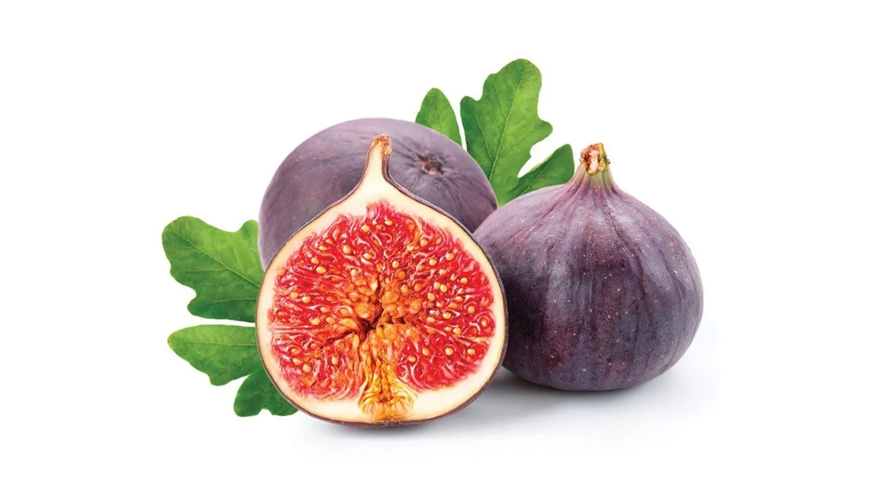 لماذا يجب أن يكون التين جزءا من نظامك الغذائي اليومي
