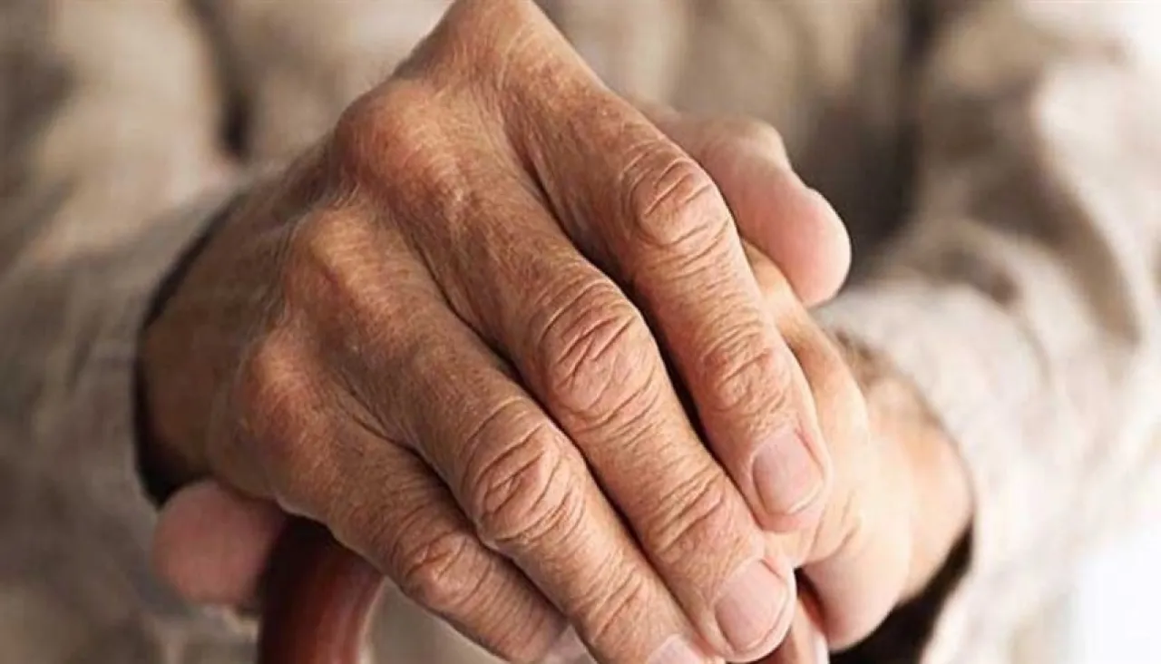 خبير يكشف 5 عادات يومية لإبطاء الشيخوخة وحماية الدماغ