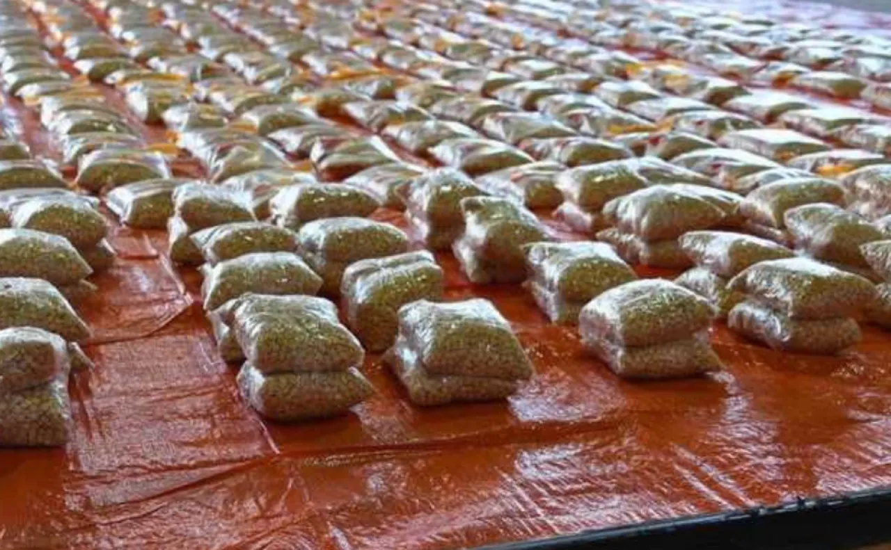 الجمارك الكويتية تحبط تهريب مليوني حبة كبتاجون