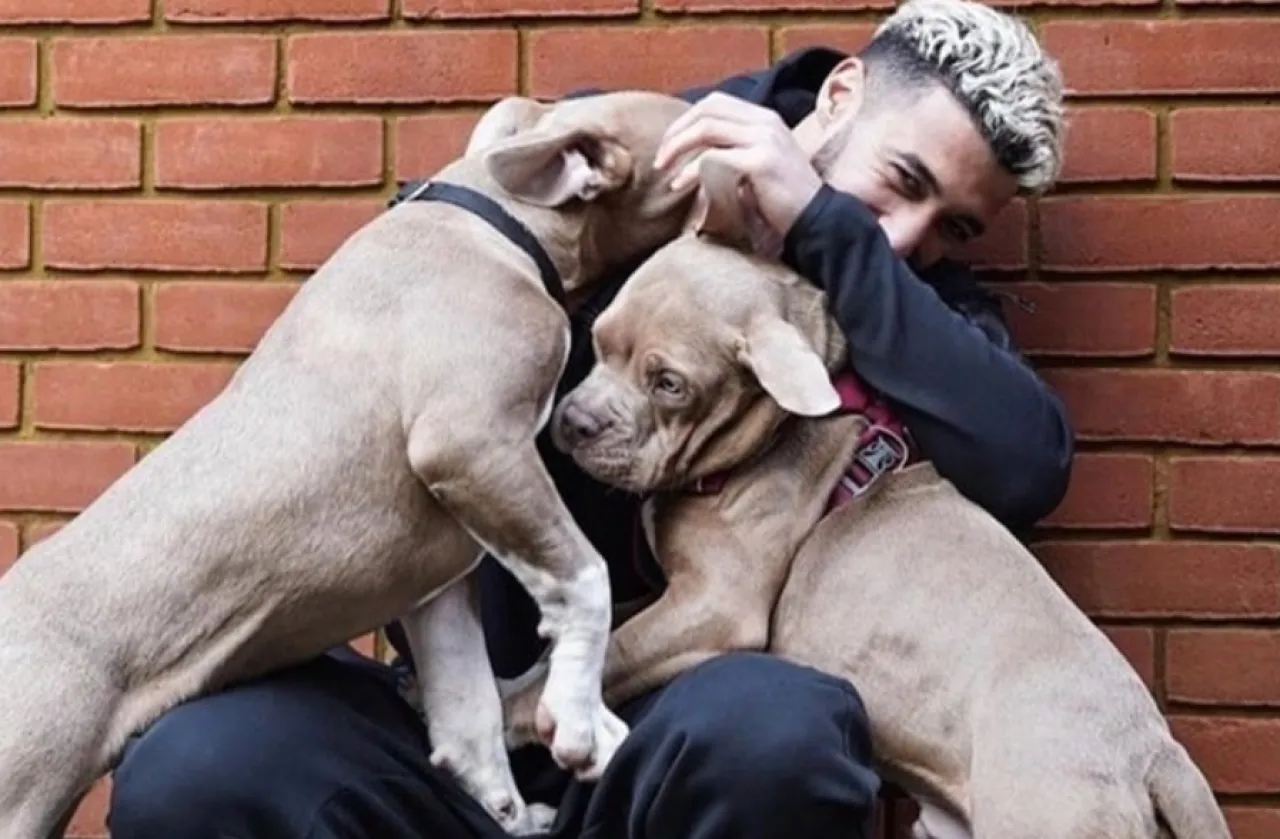 Saudi NEOM player threatened with prison due to his fierce dogs