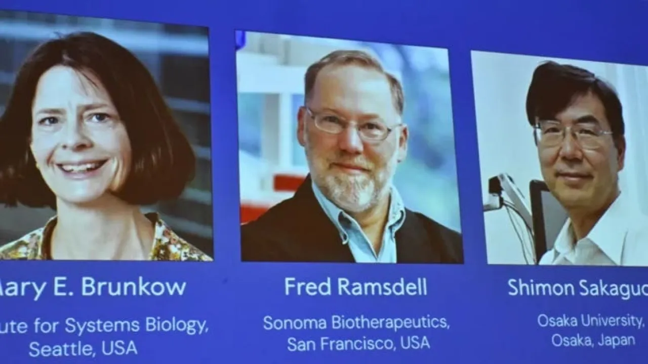 أميركيان وياباني يفوزون بجائزة نوبل للطب ماعلاقة المناعة