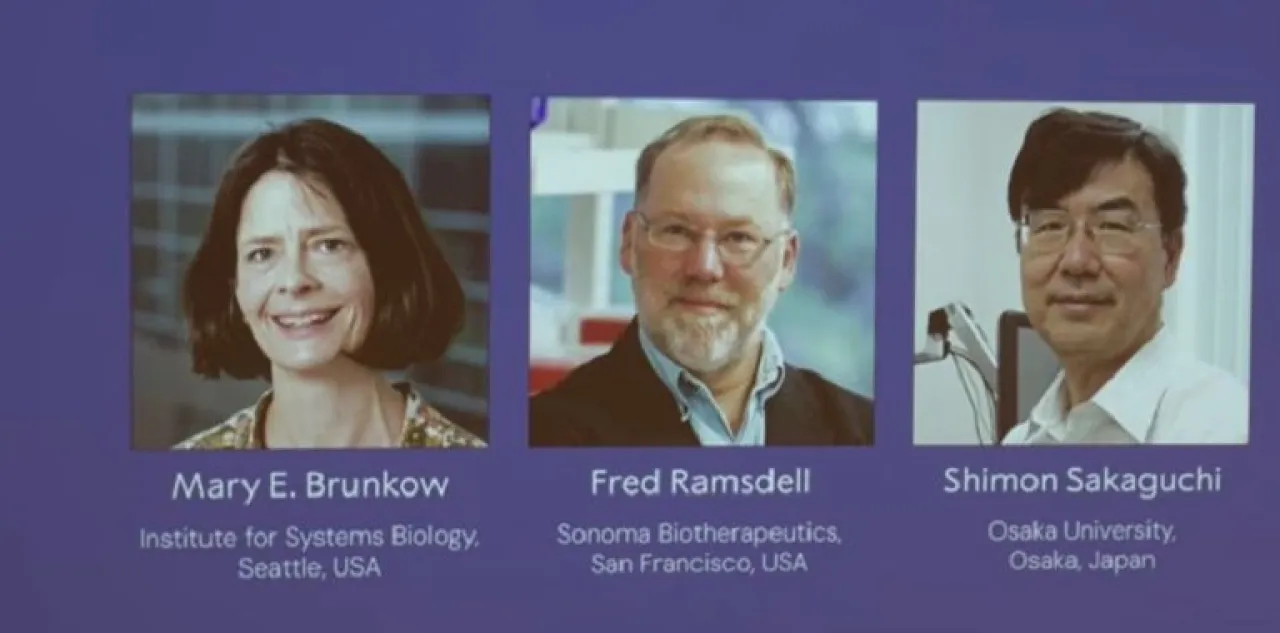 Americans and Japanese Win 2025 Nobel Prize in Medicine