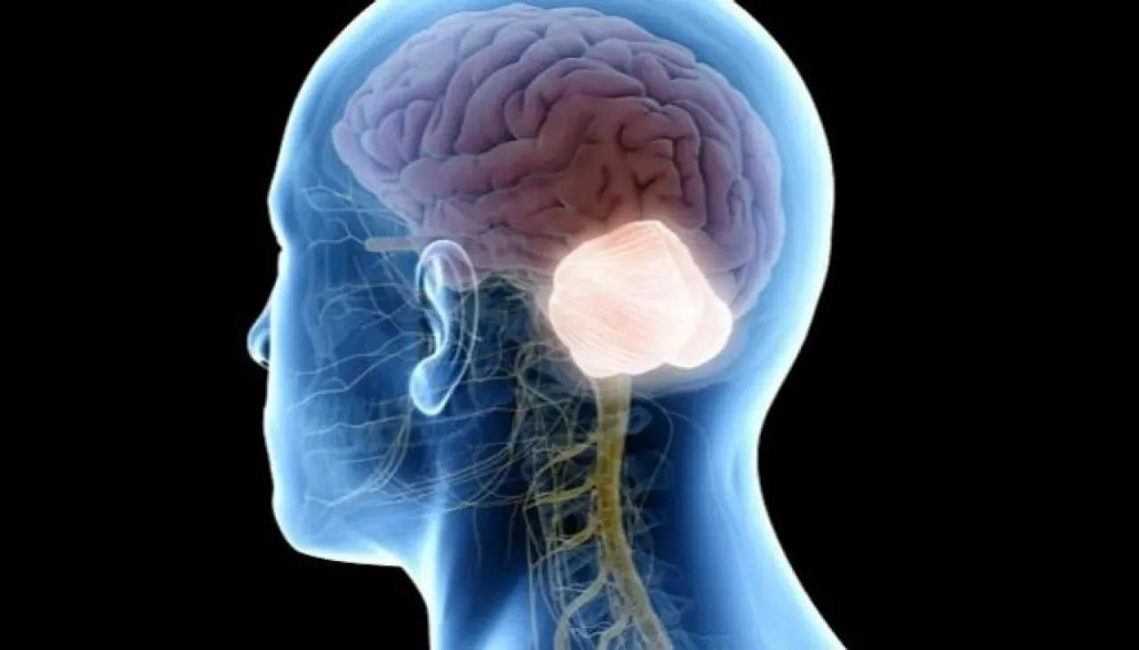 Indicators of a Brain Tumor Learn About Them