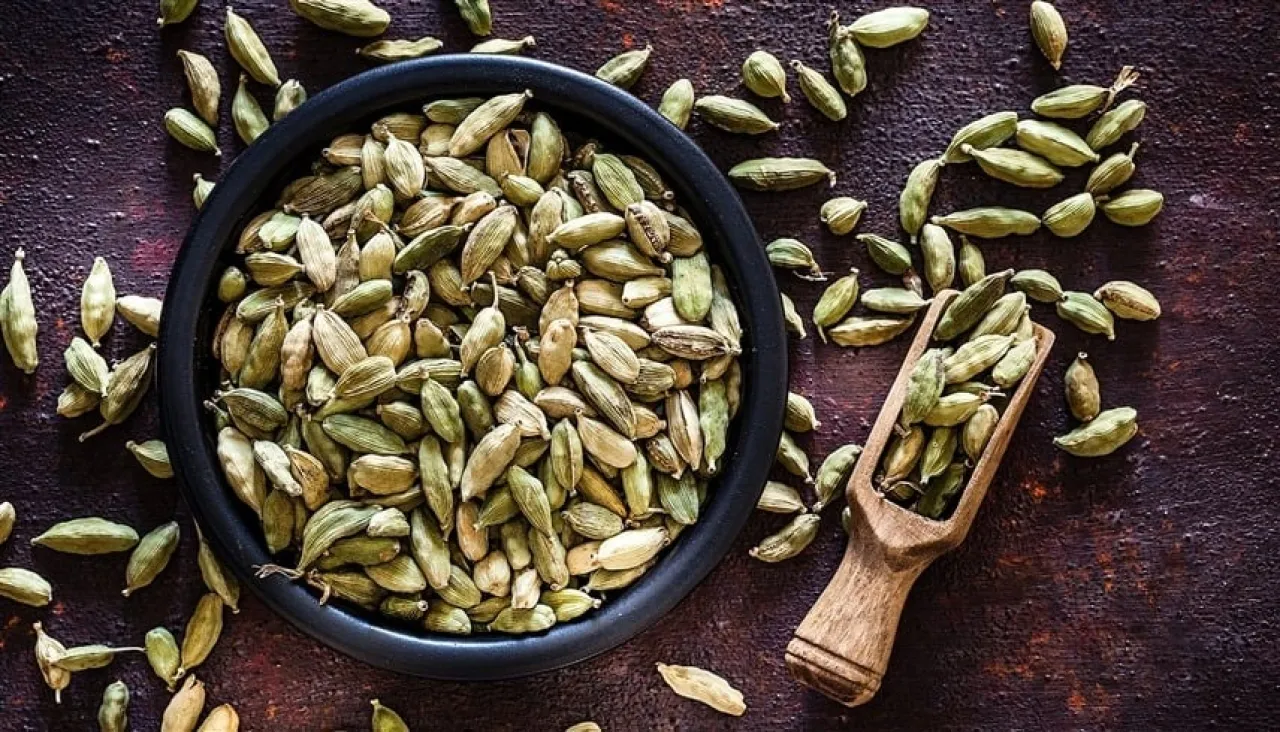 الهيل قوة مذهلة ضد الفيروسات المقاومة للأدوية