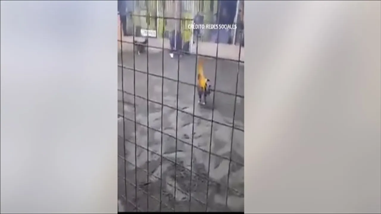 ديك يقتل رجلاً في مصارعة ببيرو