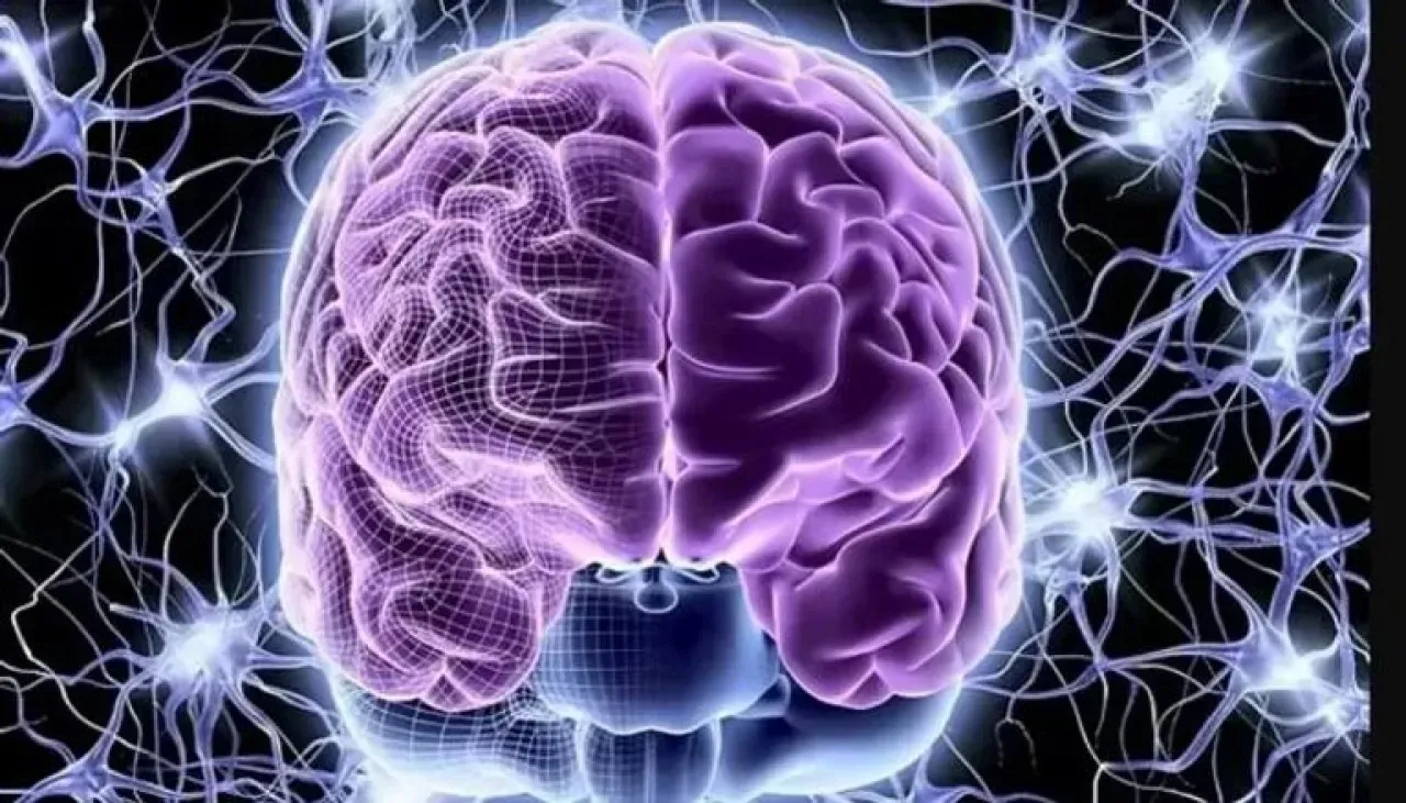 علماء يفسرون آلية خفية بين الأمعاء والدماغ