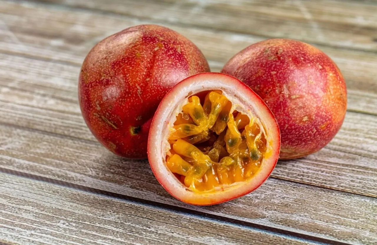 فاكهة استوائية صغيرة علاج واعد لشبكية العين