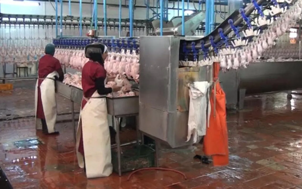 رئيس الوزراء يتدخل لحل مشكلة مسلخ عمان