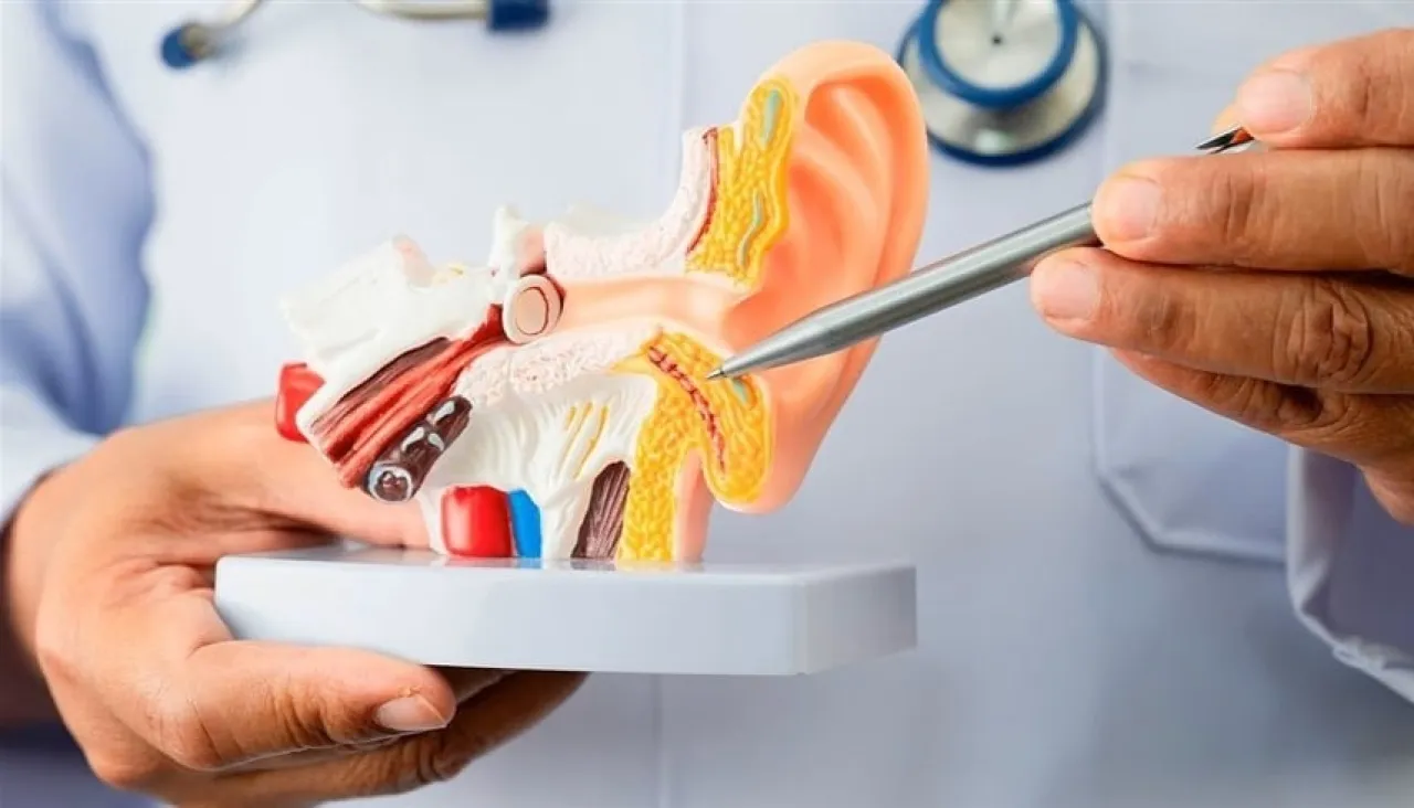 دراسة تحذر السمنة قد تزيد خطر الإصابة بطنين الأذن