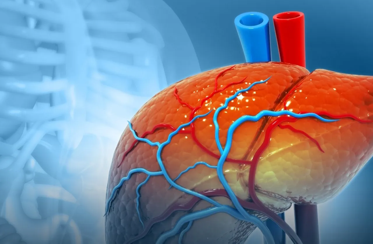 مكون شائع في حياتنا اليومية مرتبط بتليف وسرطان الكبد