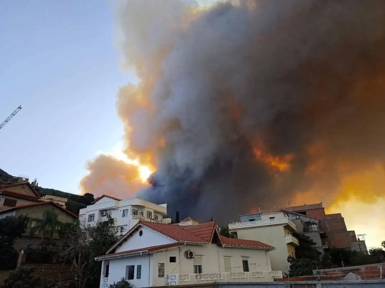 Video Massive wildfires hit an Algerian state and threaten residents