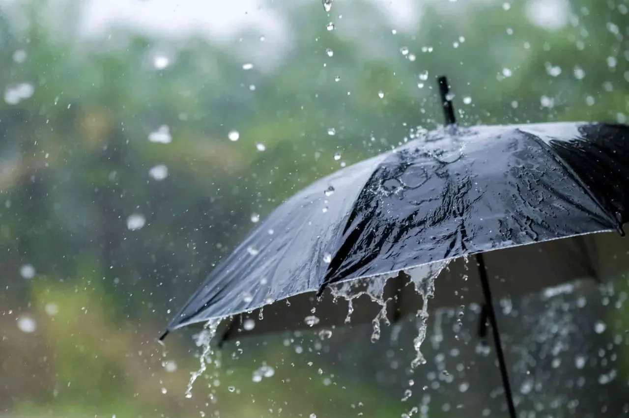 Rainfall in Ajloun exceeds 100 mm with variation in amounts between its districts