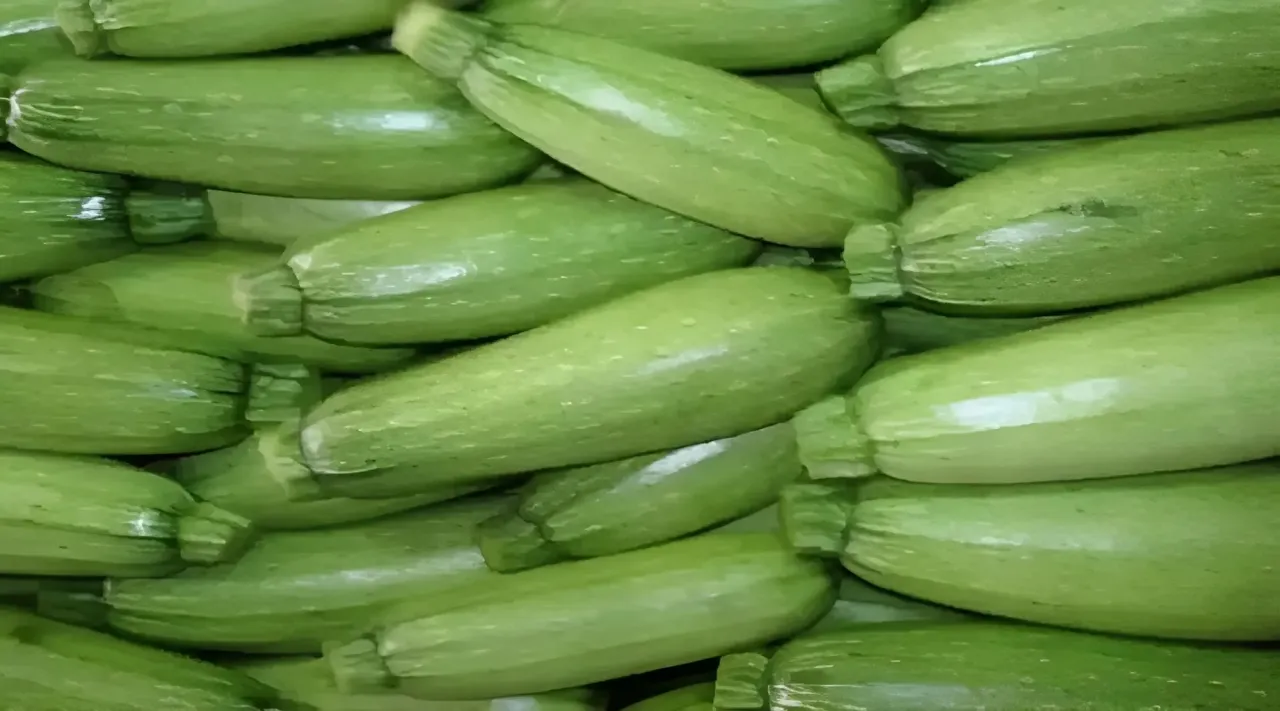 Jordanian Farmers We sell zucchini at a loss and citizens endure costs beyond their capacity