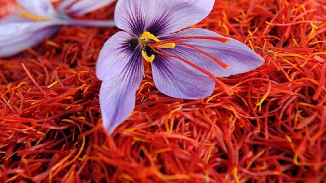 بهار شائع في المطبخ الشرقي يحسن المزاج والصحة الجنسية