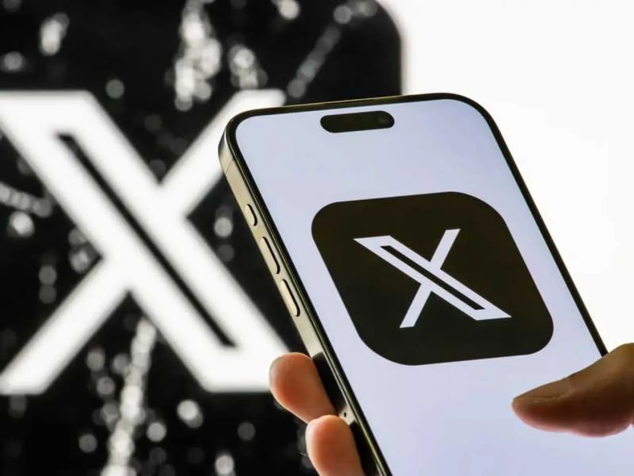 Platform X opens the Black Box of accounts What did the site feature reveal about the real identities