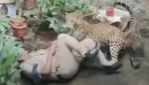 عملية إنقاذ تتحول لكارثة.. فهد يفاجئ شرطيين بهجوم شرس