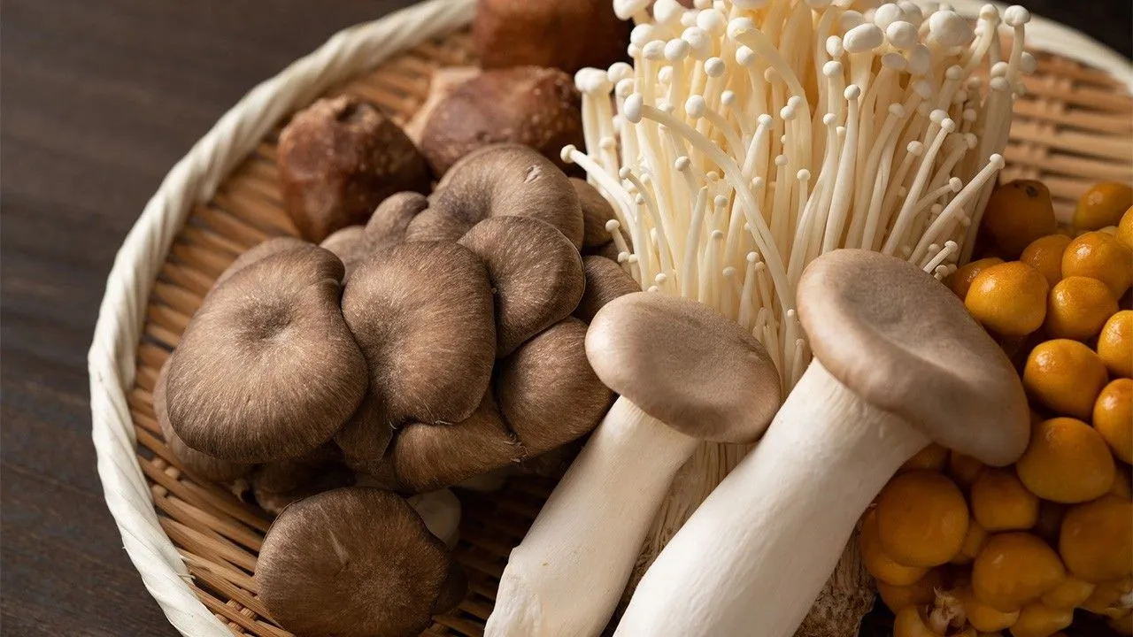 Discover the Health Benefits of Mushrooms That Could Change Your Diet
