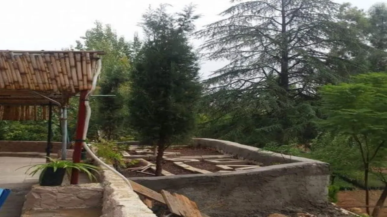 Agriculture transforms Ain Jamla nursery from producing forestry seedlings to ornamental seedlings