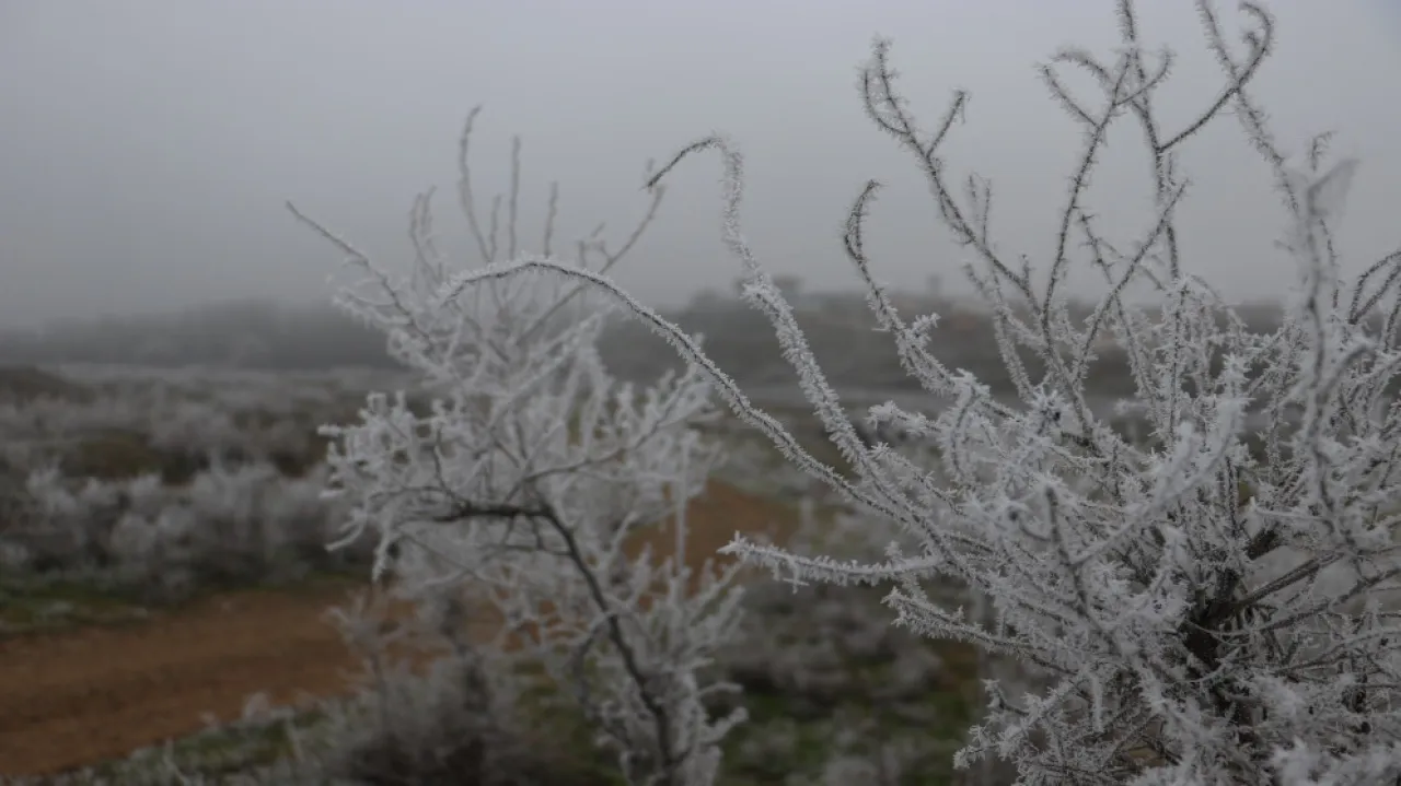 عاجل : الاردن .. الأرصاد الجوية تحذر من تشكل الصقيع والانجماد الليلة وصباح. الخميس 