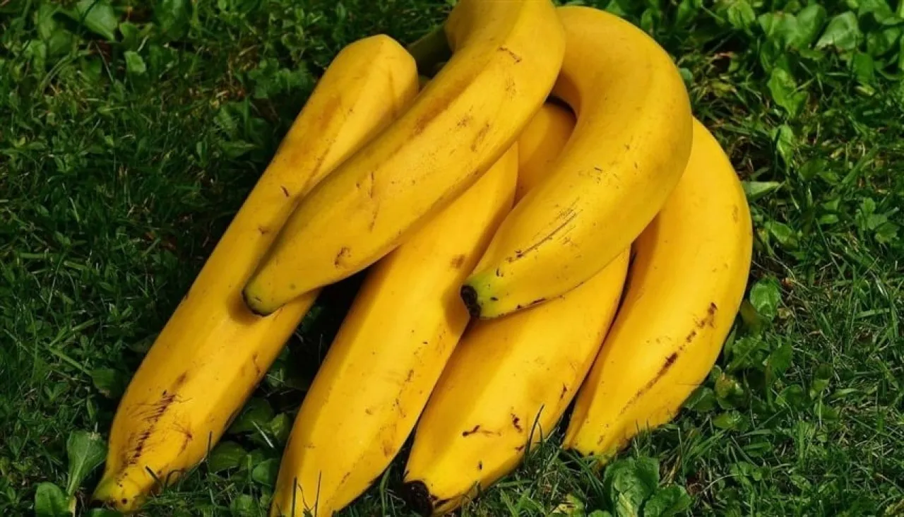 طبيب يحذر.. 3 أنواع من أدوية الضغط يُمنع معها تناول الموز 