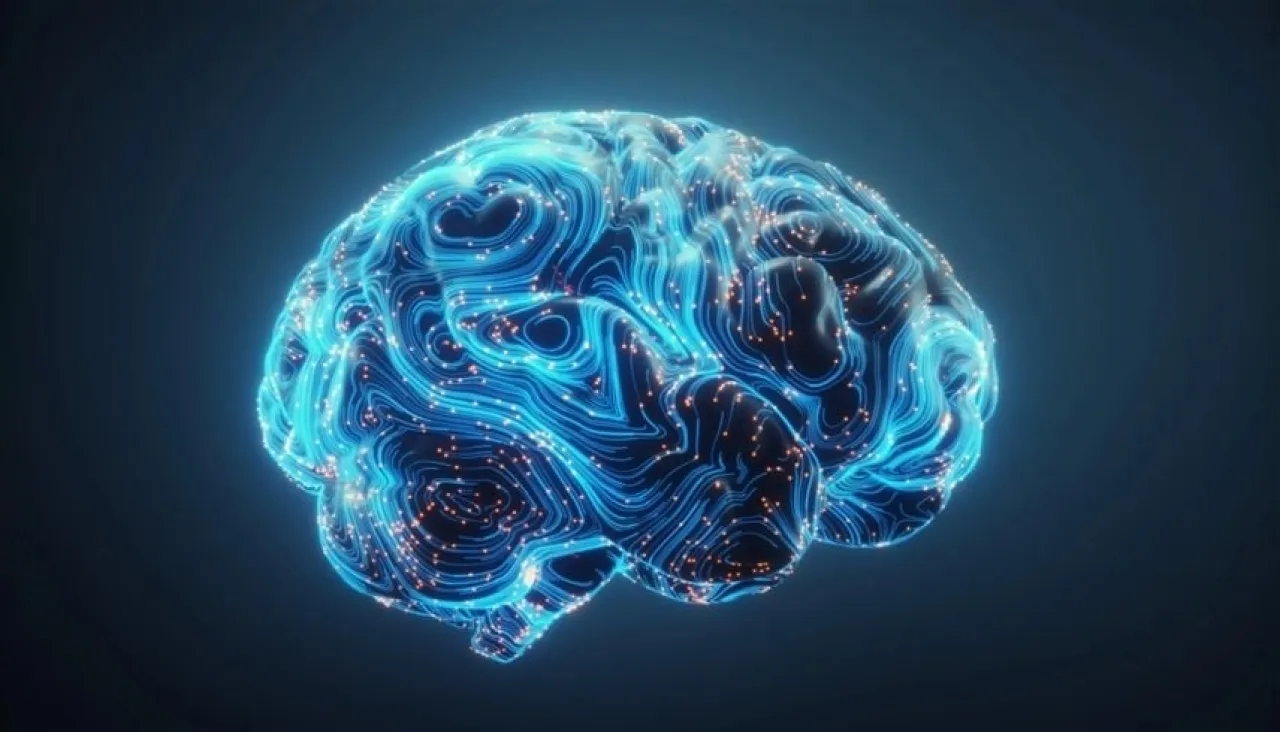 4 عادات يومية بسيطة تؤخر شيخوخة دماغك 8 سنوات 