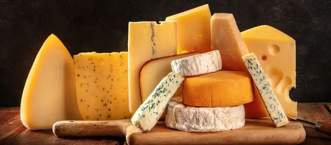 دراسة سارة لعشاق الجبن 