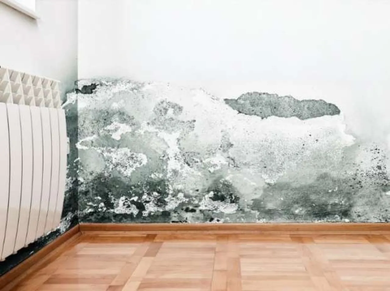 كيف تحمي منزلك من الرطوبة والعفن في الشتاء؟ 