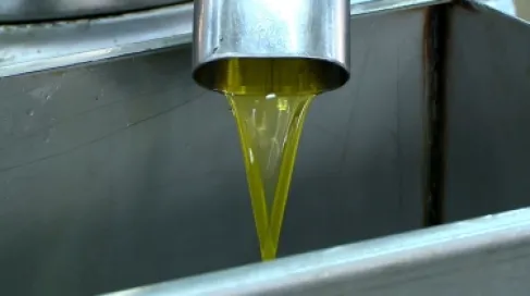 وزارة الزراعة: لم تُسجل حالات غش داخل مهرجان الزيتون الوطني