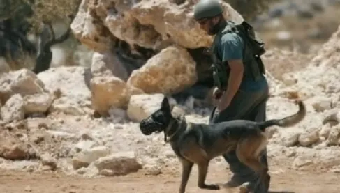 داء الكلب يضرب قاعدة عسكرية إسرائيلية