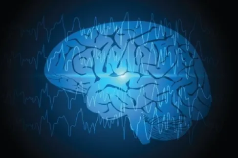 The brain changes its neural connections completely 5 times during a human's lifetime