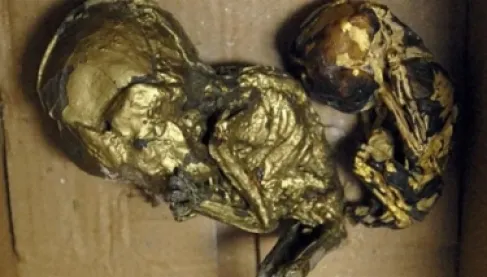 مطاردة قتلة يبيعون أعضاء البشر لصنع تعويذات سحرية مرعبة