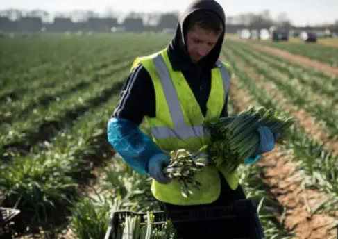 الغارديان: على أوروبا استقبال المهاجرين وإلا ستواجه زوالها